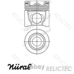 Piston With Rings for Iveco